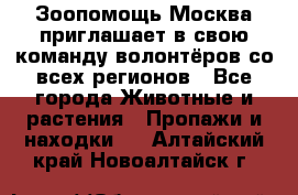 Зоопомощь.Москва приглашает в свою команду волонтёров со всех регионов - Все города Животные и растения » Пропажи и находки   . Алтайский край,Новоалтайск г.